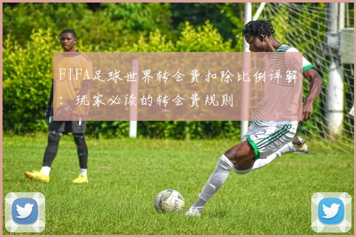 FIFA足球世界转会费扣除比例详解：玩家必读的转会费规则